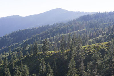 High angle view of trees and mountains against sky