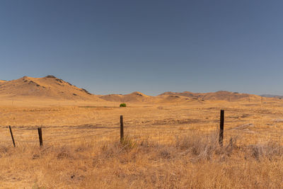 Scenic view of field against clear sky