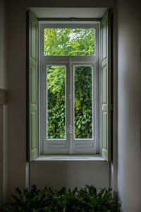 Plants seen through window of house