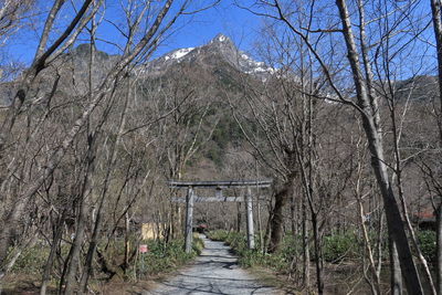 Dirt road amidst bare trees against sky