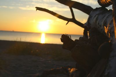 Scenic view of sunset over sea