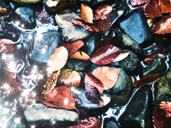 Full frame shot of pebbles in water