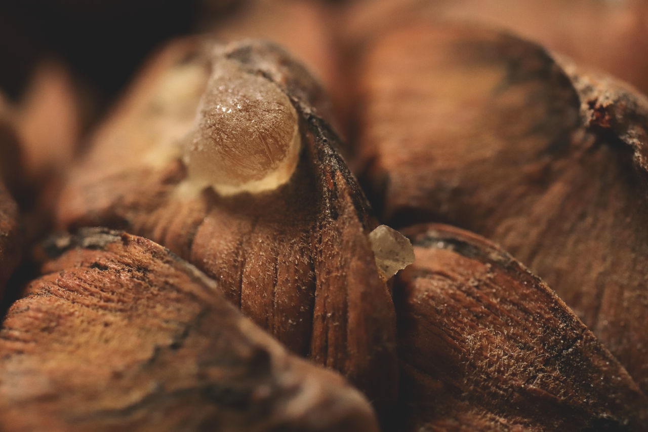 FULL FRAME SHOT OF ROASTED COFFEE