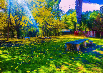 Trees and plants in park against sky