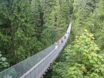 High angle view of bridge amidst trees in forest