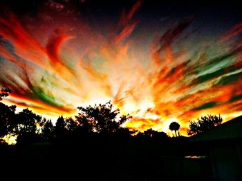 Silhouette of trees at sunset