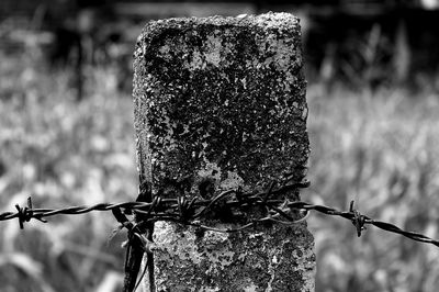 Close-up of chainlink fence