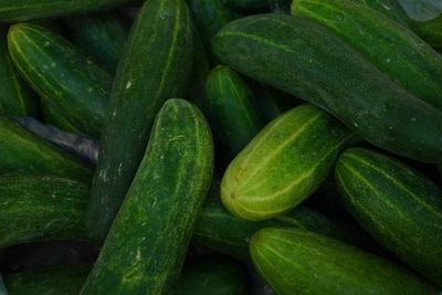 Full frame shot of cucumbers for sale