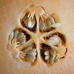 Close-up of bread