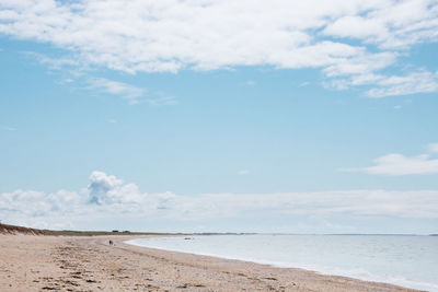 Seaside landscape in plouhinec in brittany in summer in france