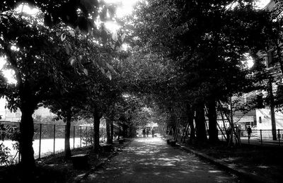 Empty footpath amidst trees