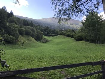 Scenic view of landscape against sky