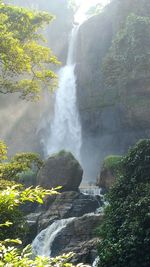 Scenic view of waterfall in forest