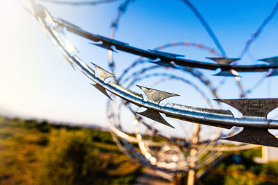 Barbed wire with detail of the sharp blades