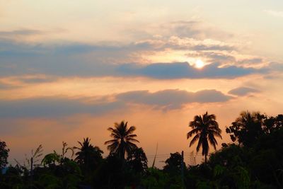 Low angle view of silhouette trees against sky during sunset