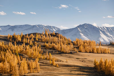 Scenic view of snowcapped mountains against sky