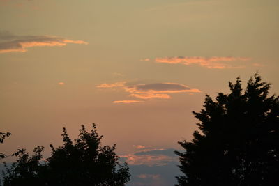 Low angle view of silhouette trees against sky during sunset