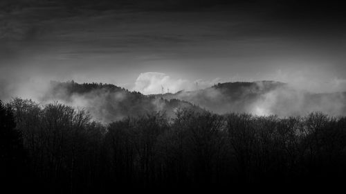 Panoramic shot of silhouette trees against sky