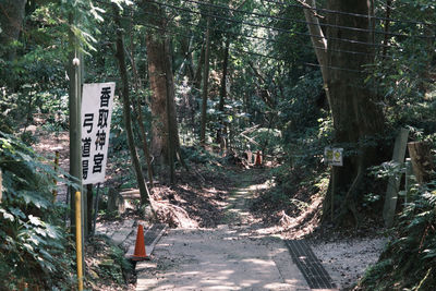 Information sign on road amidst trees in forest