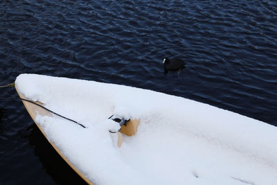 High angle view of swan floating on lake