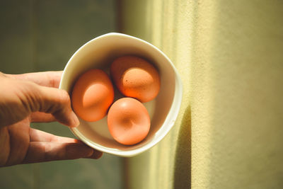 Directly above shot of person holding bowl