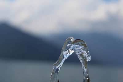 Close-up of water drop on leaf