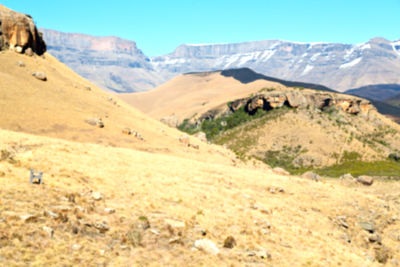 Scenic view of arid landscape against clear sky