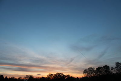 Low angle view of silhouette trees against sky