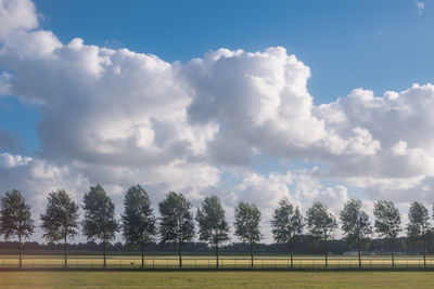 Trees on field against sky