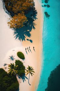 Aerial drone photo - beautiful beach at seychelles.