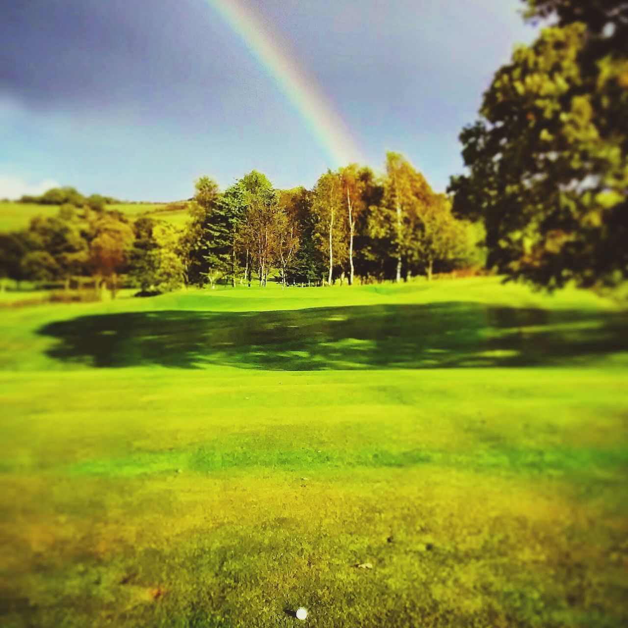 tree, green color, beauty in nature, tranquil scene, tranquility, growth, nature, scenics, grass, landscape, sky, field, sunbeam, sunlight, idyllic, lens flare, outdoors, green, rainbow, no people