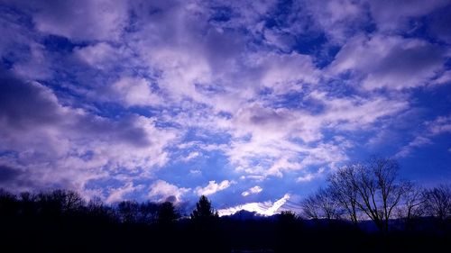 Low angle view of silhouette trees against sky