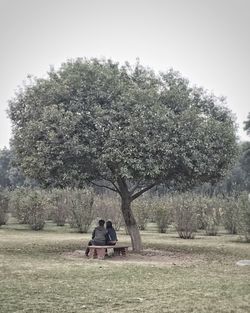 View of tree against sky