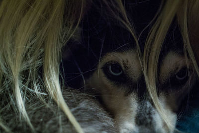 Full frame shot of cat