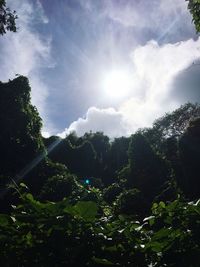 Low angle view of trees against cloudy sky