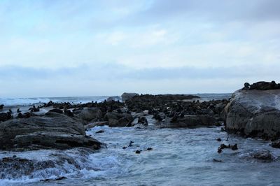 Rocks on sea shore against sky