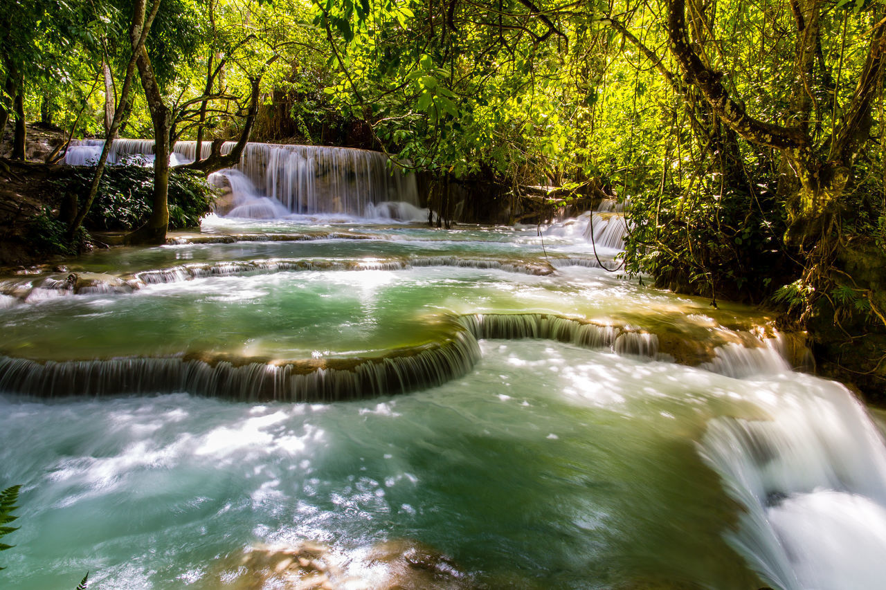 SCENIC VIEW OF WATERFALL