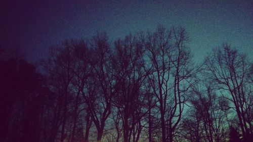 Low angle view of bare trees against sky