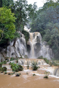 Scenic view of waterfall in forest