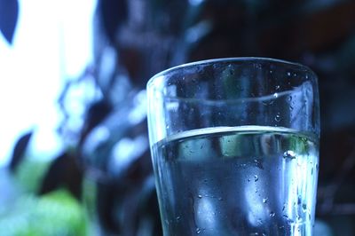 Close-up of beer glass on table