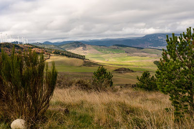 Scenic view of landscape against sky