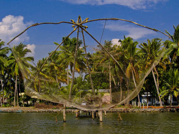 Scenic view of palm trees by sea against sky