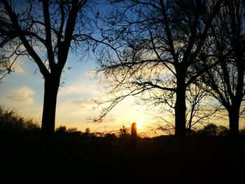 Silhouette trees on field against sky at sunset