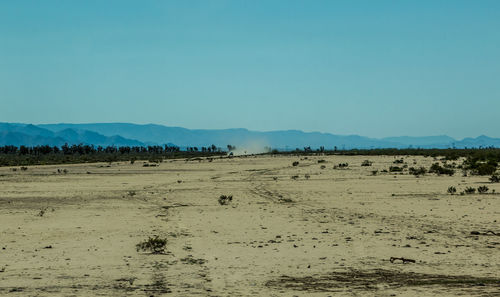 Landscape with mountain in background