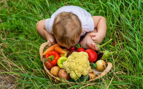 Close-up of food