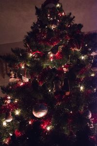 Illuminated christmas tree at night