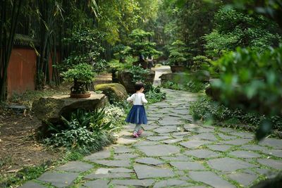 Rear view of girl walking in garden