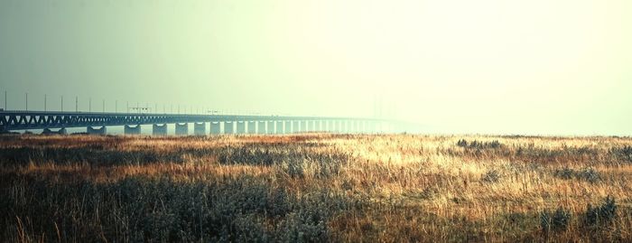 Scenic view of landscape against clear sky