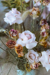 Close-up of flowers