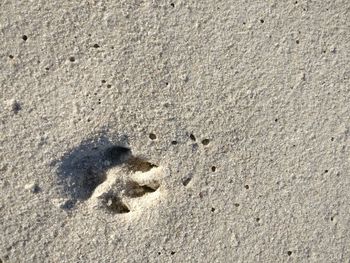 High angle view of footprints on sand